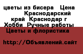 цветы из бисера › Цена ­ 700 - Краснодарский край, Краснодар г. Хобби. Ручные работы » Цветы и флористика   